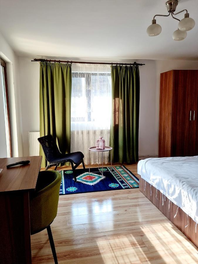 Casa Teodor Rucar Casa De Oaspeti エクステリア 写真