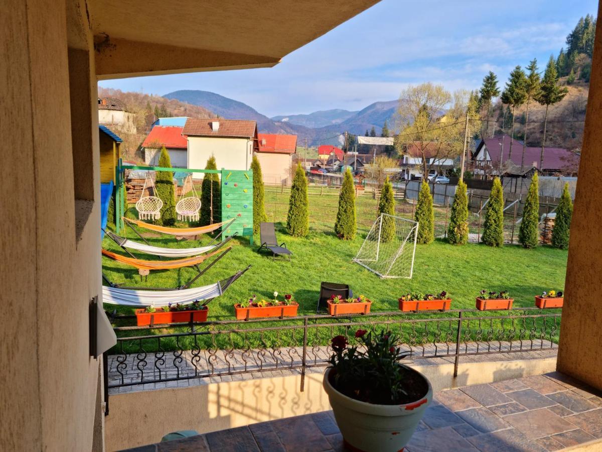 Casa Teodor Rucar Casa De Oaspeti エクステリア 写真