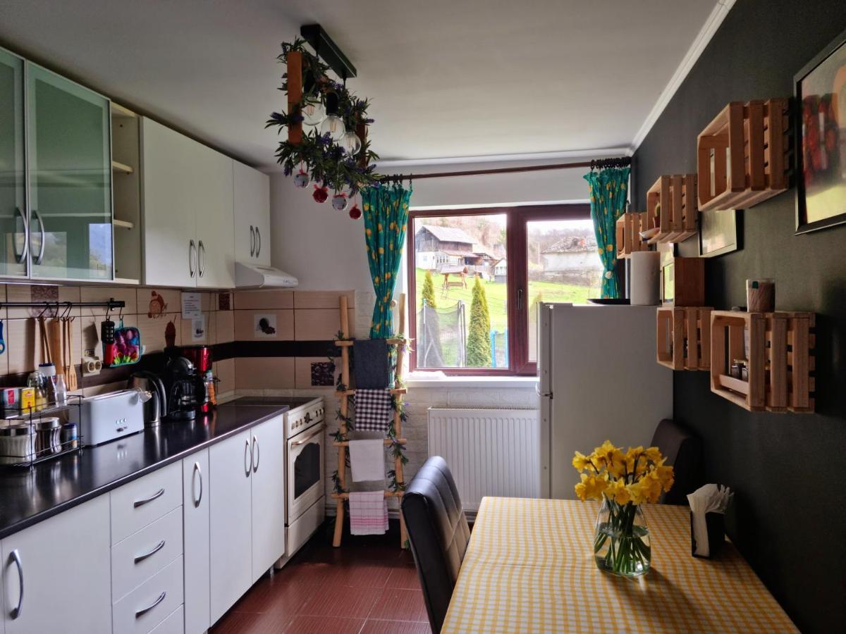 Casa Teodor Rucar Casa De Oaspeti エクステリア 写真