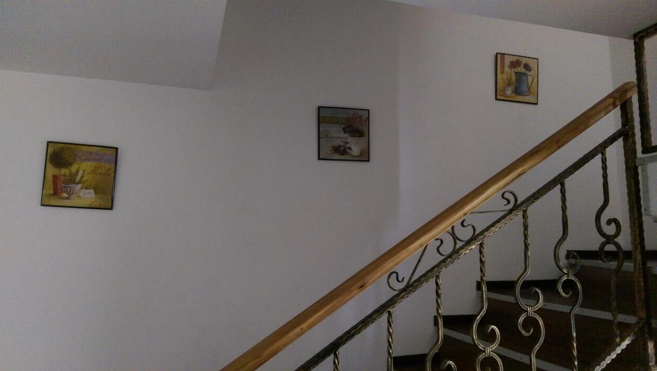 Casa Teodor Rucar Casa De Oaspeti エクステリア 写真